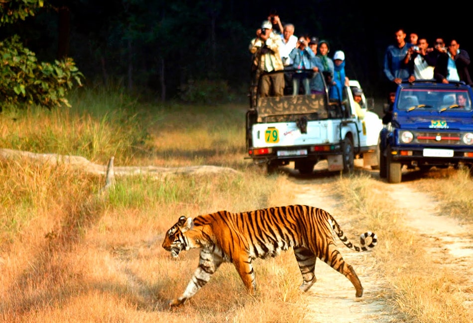 Corbett Weekend Package