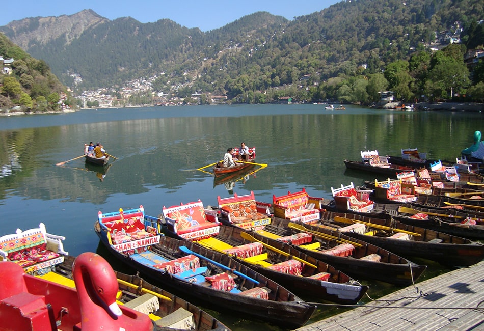 Nainital Kausani Package